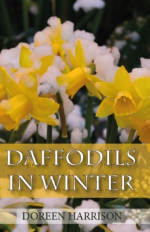 Daffodils in Winter