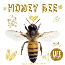 Honey Bee, Paperback / softback Book Honey Bee, Paperback / softback Book