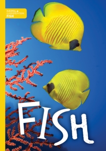 Fish, Paperback / softback Book Fish, Paperback / softback Book