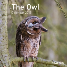 The Owl Calendar 2019, Calendar Book The Owl Calendar 2019, Calendar Book
