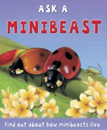 A Minibeast