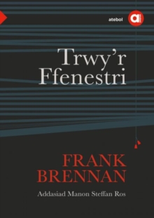 Cyfres Amdani: Trwy'r Ffenestri