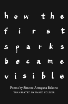 how the first sparks became visible : Poems