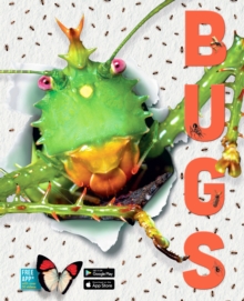 Bugs