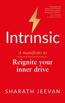 Intrinsic : A manifesto to reignite our inner drive