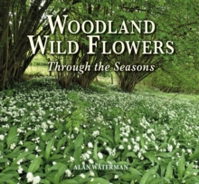 Woodland Wild Flowers : Through the Seasons