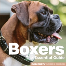 Boxers : The Essential Guide