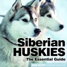 Siberian Huskies : The Essential Guide