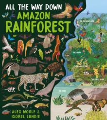 All The Way Down: Amazon Rainforest