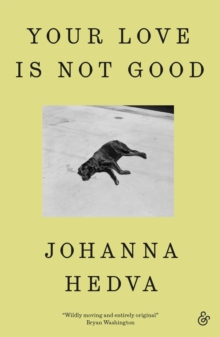 And Other Stories Publishing Your Love Is Not Good