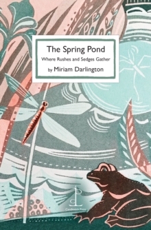 The Spring Pond : Where Rushes and Sedges Gather