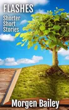 Flashes ~ Shorter Short Stories