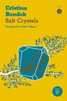 Salt Crystals