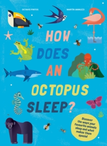 How Does An Octopus Sleep? : Discover the ways your favourite animals sleep and what makes them special