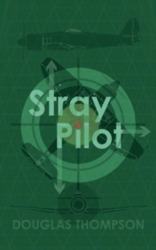 Stray Pilot