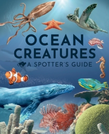 Ocean Creatures: A Spotter's Guide