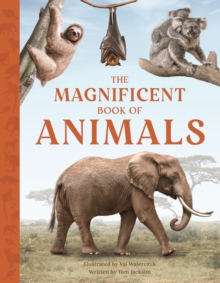 The Magnificent Book of Animals : JOURNEY INTO THE WILDERNESS TO SEE THE MOST MAGNIFICENT ANIMALS