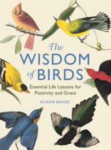 The Wisdom Of Birds : Essential Life Lessons For Positivity And Grace