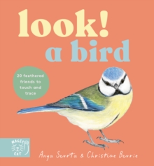 Look! A Bird!