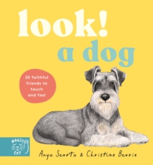 LOOK! A Dog