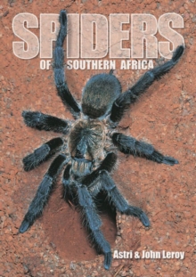 Spiders of Southern Africa