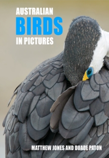 Australian Birds in Pictures : Compact edition