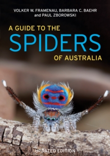 A Guide to Spiders of Australia, Paperback / softback Book A Guide to Spiders of Australia, Paperback / softback Book