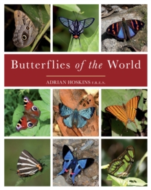 Butterflies of the World, Hardback Book Butterflies of the World, Hardback Book