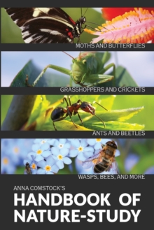 The Handbook Of Nature Study in Color - Insects