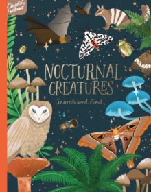 Nocturnal Creatures Search and Find