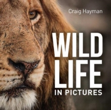 Wildlife In Pictures, Paperback / softback Book Wildlife In Pictures, Paperback / softback Book