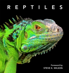 Reptiles : Deluxe Series