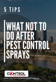 WHAT NOT TO DO AFTER PEST CONTROL SPRAYS