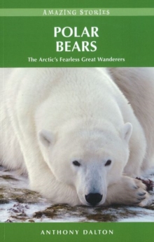 Polar Bears : The Arctic's Fearless Great Wanderers, Paperback / softback Book Polar Bears : The Arctic's Fearless Great Wanderers, Paperback / softback Book