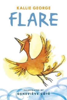 Flare, Hardback Book Flare, Hardback Book