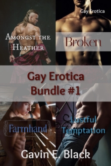 Gay Erotica Bundle #1