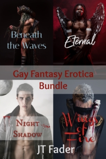 Gay Fantasy Erotica Bundle