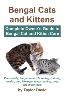 Bengal Cats and Kittens