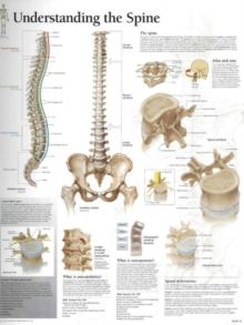 Understanding the Spine Paper Poster