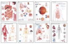 Human Anatomy Chart Pack, Paperback / softback Book Human Anatomy Chart Pack, Paperback / softback Book