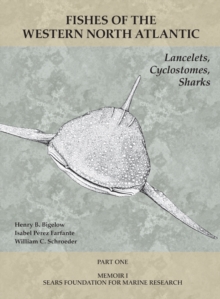 Lancelets, Cyclostomes, Sharks : Part 1