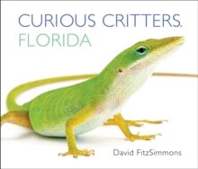 Curious Critters Florida, Board book Book Curious Critters Florida, Board book Book