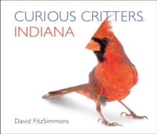 Curious Critters Indiana, Board book Book Curious Critters Indiana, Board book Book