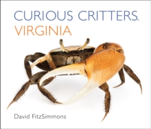 Curious Critters Virginia, Board book Book Curious Critters Virginia, Board book Book