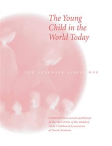 The Young Child in the World Today, Paperback / softback Book The Young Child in the World Today, Paperback / softback Book