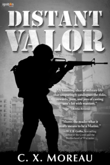 Distant Valor : A Novel