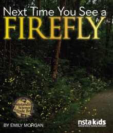 Next Time You See a Firefly