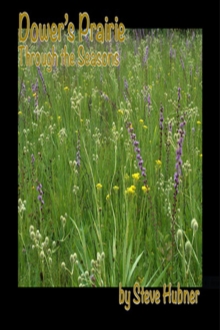 Dower's Prairie Through The Seasons