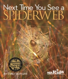 Next Time You See a Spiderweb