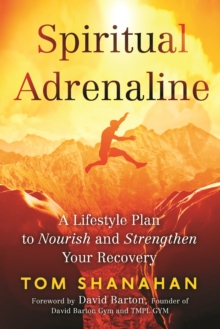 Spiritual Adrenaline : A Lifestyle Plan to Nourish and Strengthen Your Recovery